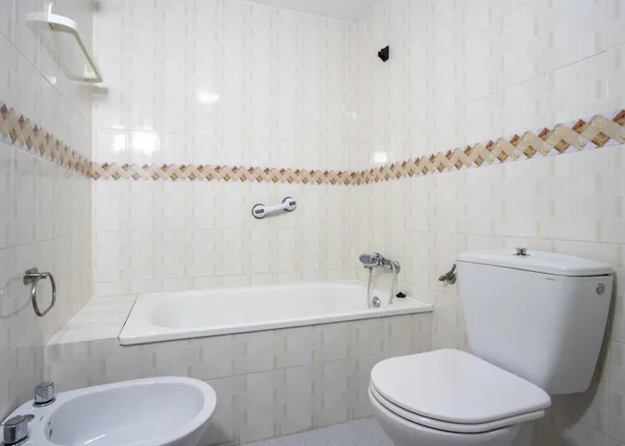 Alegria Id24 * Τορεβιέχα